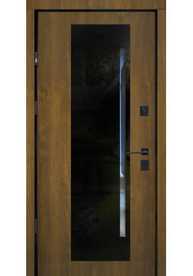 Входная дверь Straj Proof Standart Mottura StarMax Glass Дуб темный