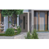 Вхідні двері Hygge Cottage Crystal Ral 7121/антрацит